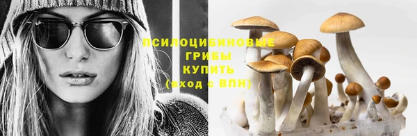 мдпв Чегем