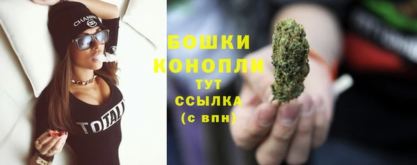 мдпв Чегем