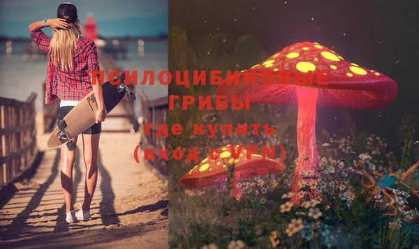 прущая мука Чердынь