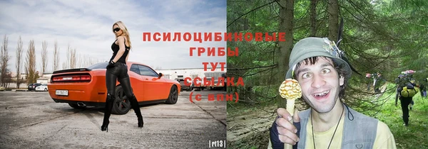 мдпв Чегем