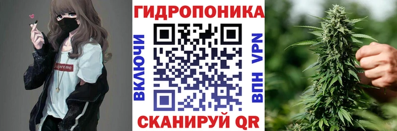 сайты даркнета клад  Волгодонск  Марихуана OG Kush  сколько стоит 